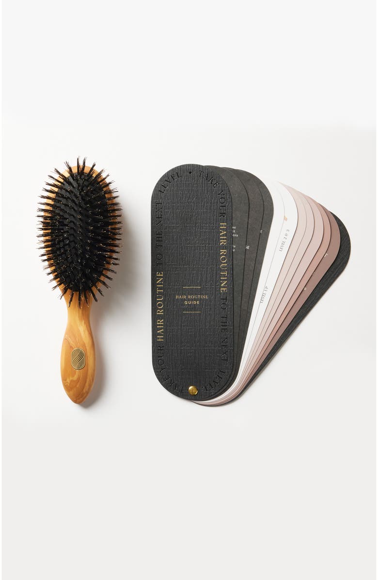 Altesse Studio Repair and Shine Brush - Fine To Medium, Alternate, color, NO COLOR