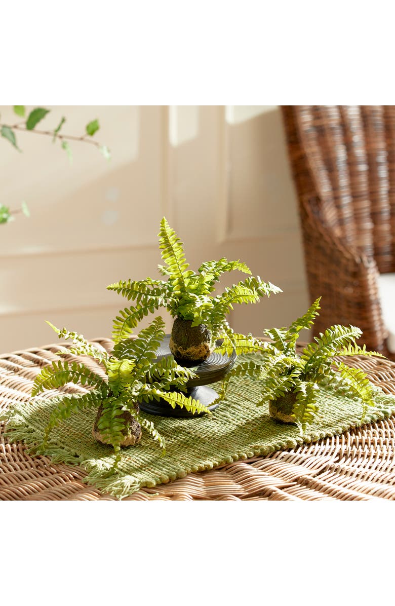 Napa Home & Garden Boston Fern Drop-Ins, Set Of 3, Alternate, color, Green