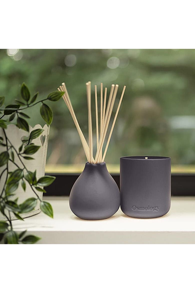Indian Sandalwood Reed Diffuser - Pepper Raspberry and Tonka, Alternate, color, black