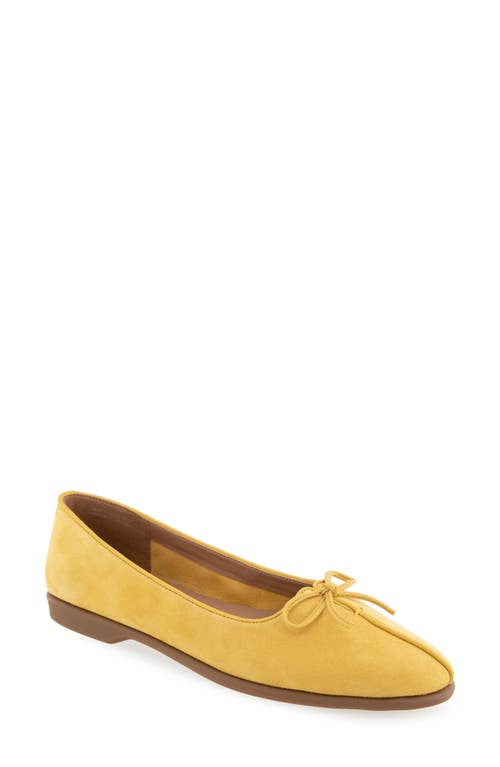 AEROSOLES AEROSOLES NOVIA BALLET FLAT