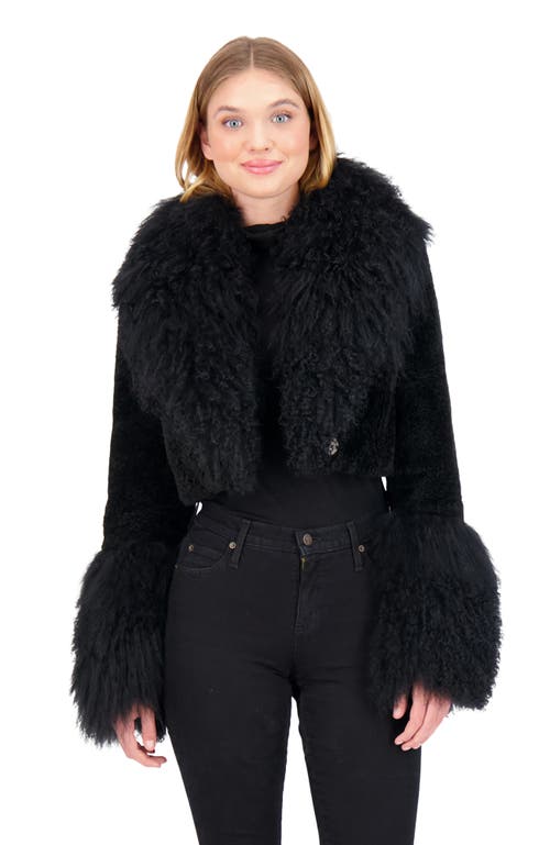 Gorski Cashmere Goat Shearling Crop Bolero Jacket With Mongolian Goat Fur Collar And Cuffs In Black