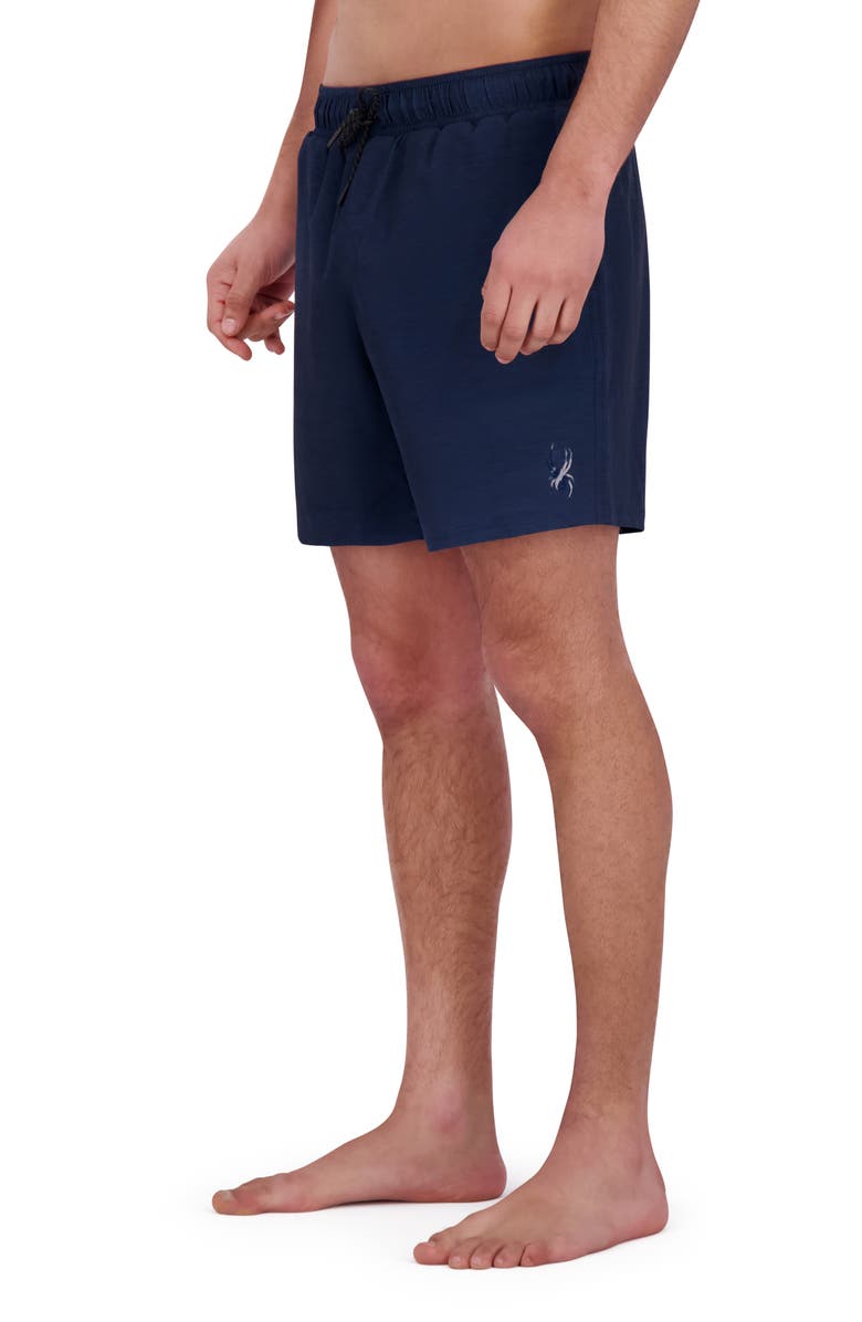 Spyder Core Volley Swim Trunks, Alternate, color, Dress Blue