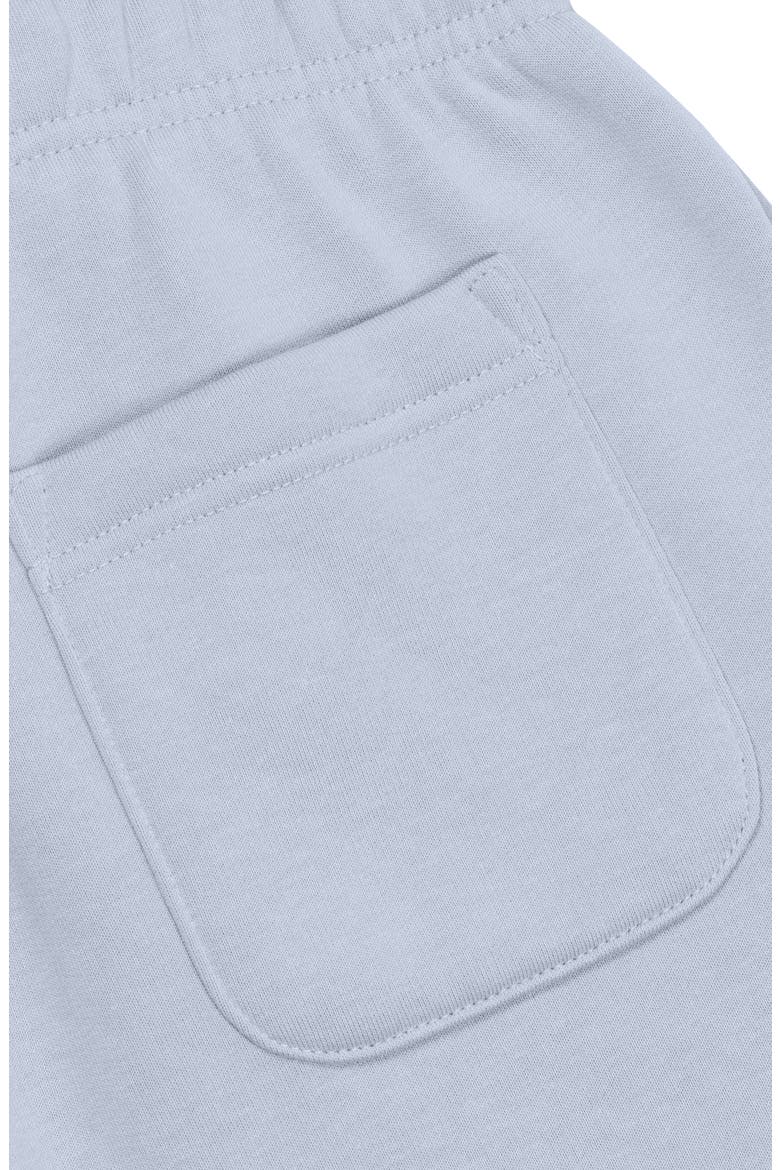 Butterfly Midweight Relaxed Fleece Track Pants, Alternate, color, Powder
