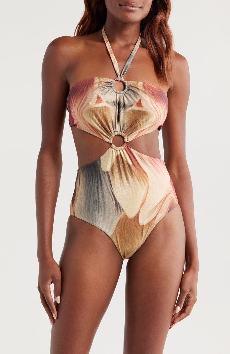 BOAMAR Egeo One-Piece Swimsuit, Main, color, Bouquet