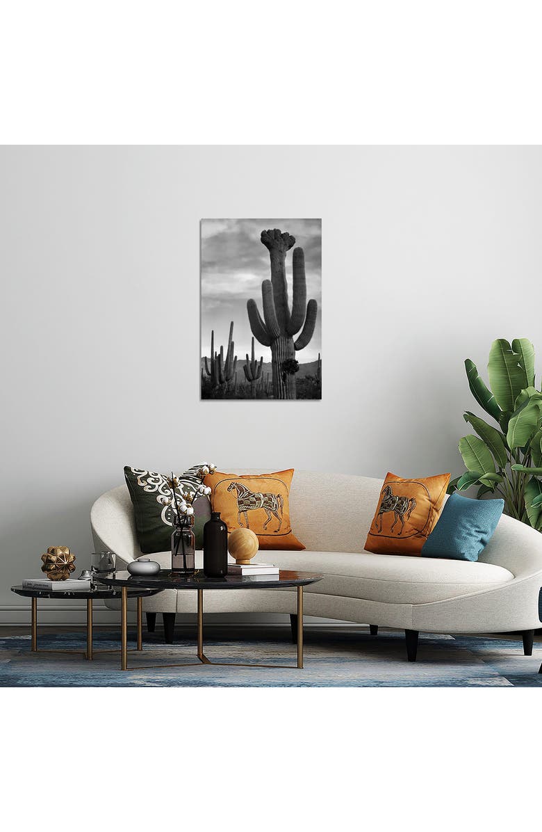 iCanvas Saguaros, Saguaro National Monument by Ansel Adams Canvas Wall Art, Alternate, color, White-Multi