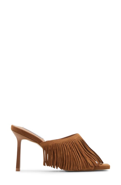 Shop Steve Madden Morina Slide Sandal In Cognac Suede