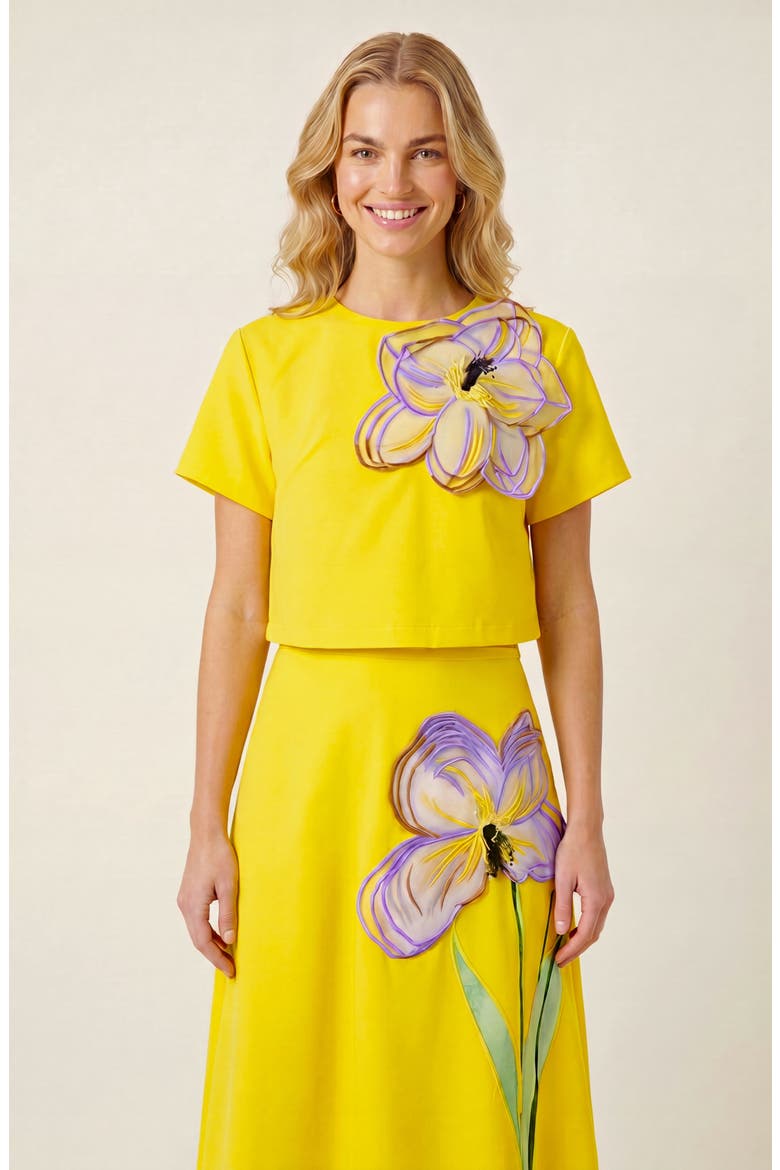Summer Embroidered Two Piece Set, Alternate, color, Yellow