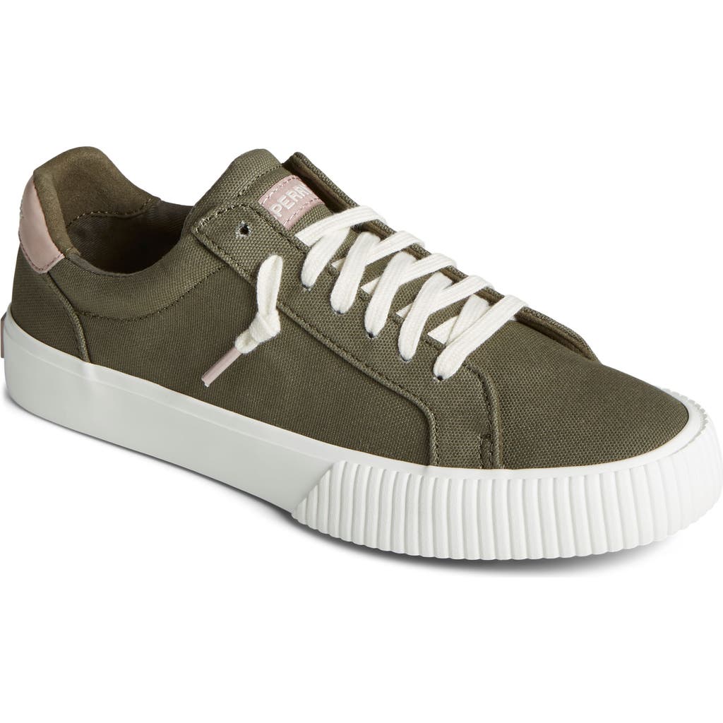 Sperry Top-sider® Sperry Bermuda Sneaker In Khaki