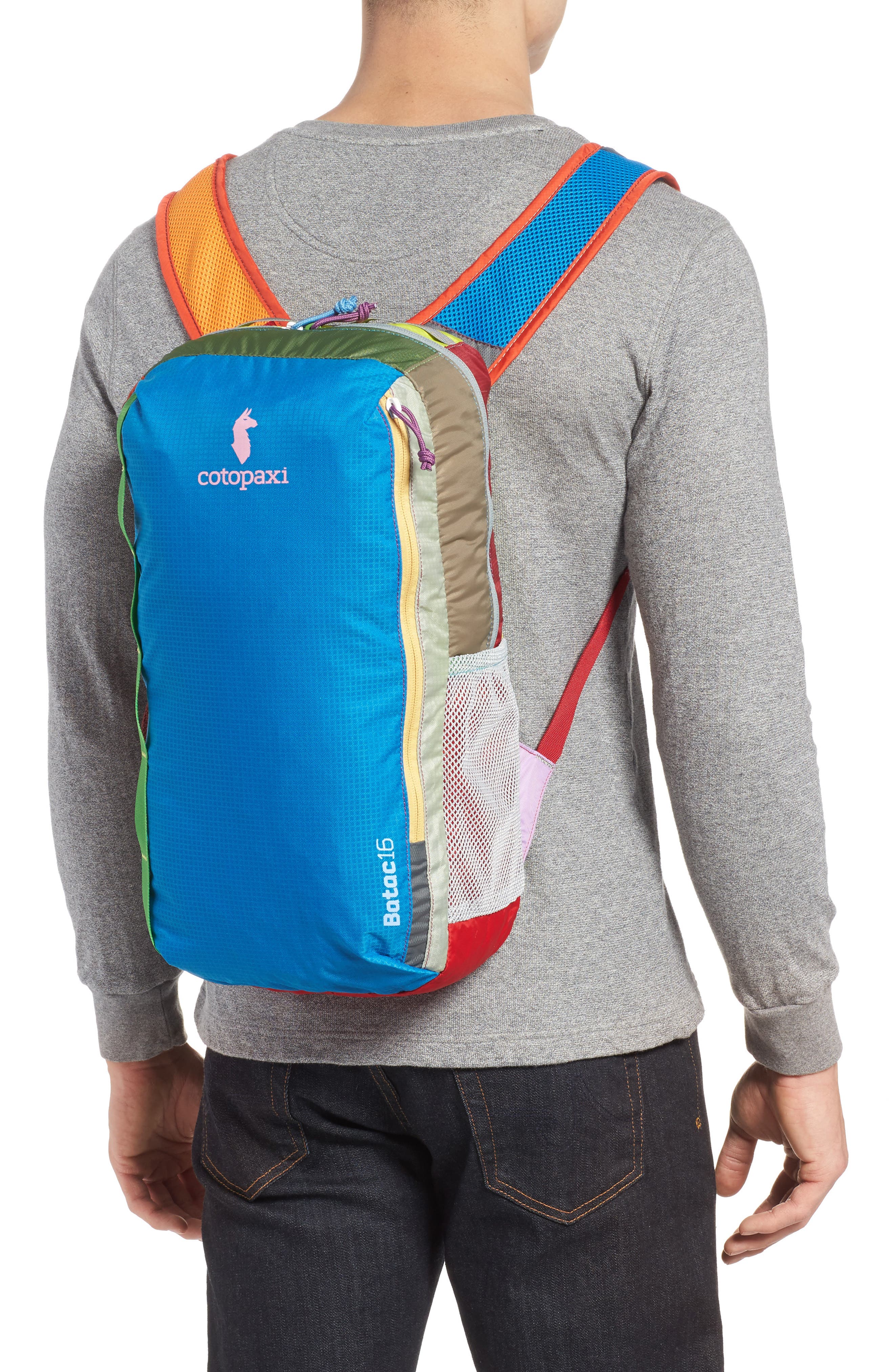 Cotopaxi Batac Del Día One of a Kind Ripstop Nylon Daypack, Alternate, color, 