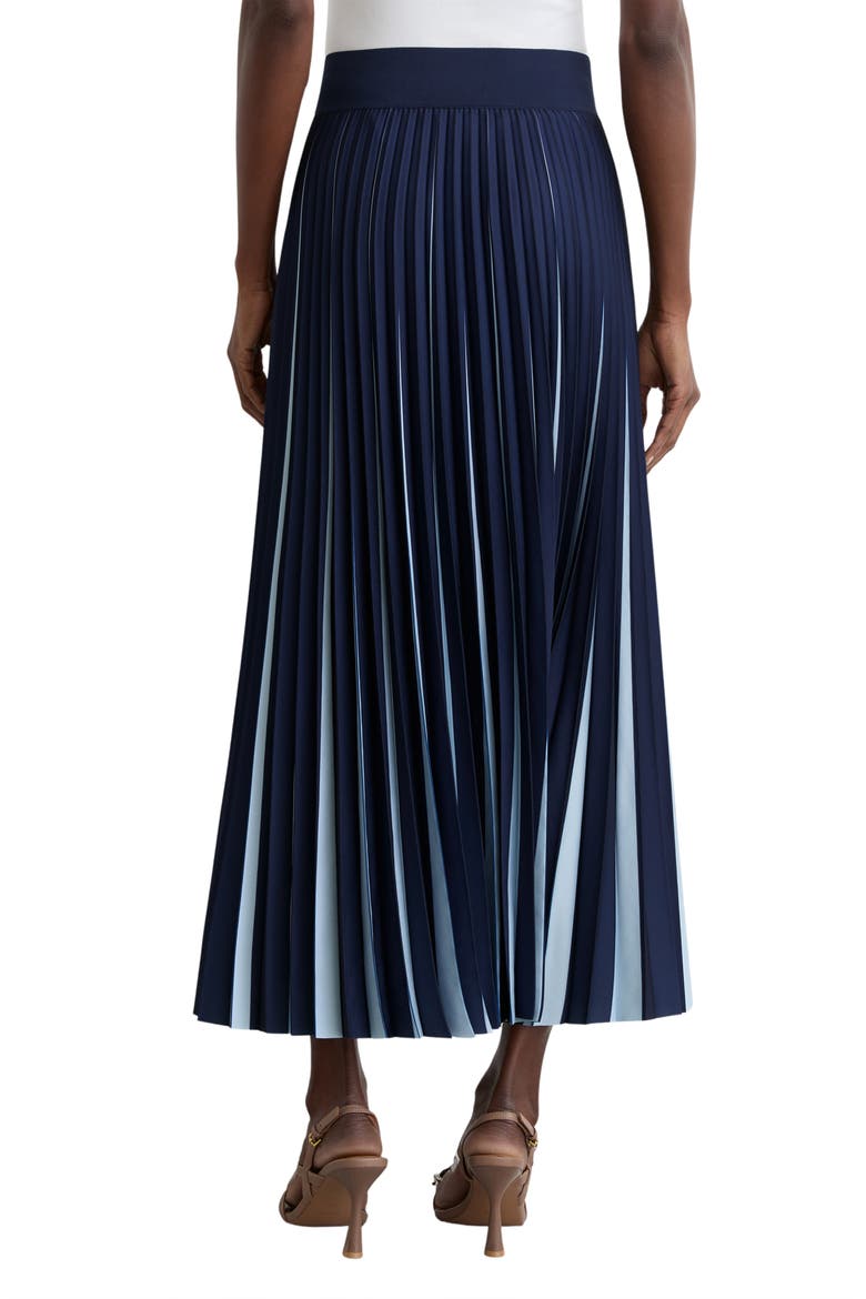 Serena Pleated Skirt, Alternate, color, NAVY/ PALE BLUE