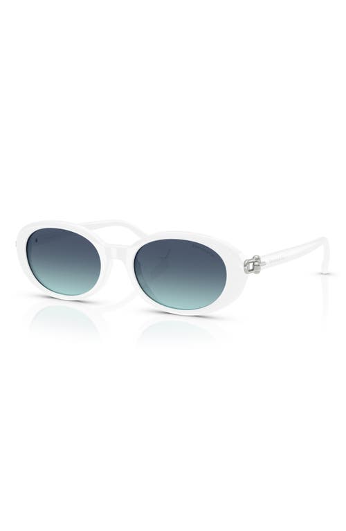 Tiffany & Co . 54mm Oval Sunglasses In Multi