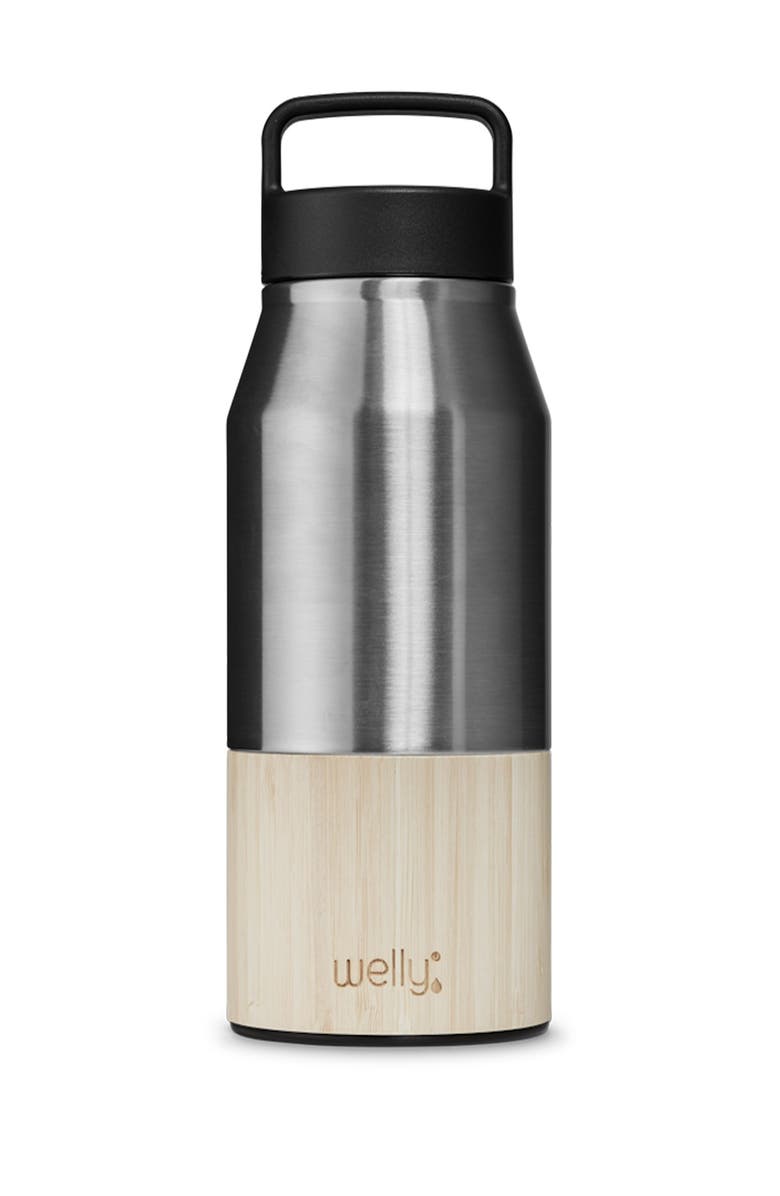 WELLY Traveler 28oz - Stainless, Alternate, color,