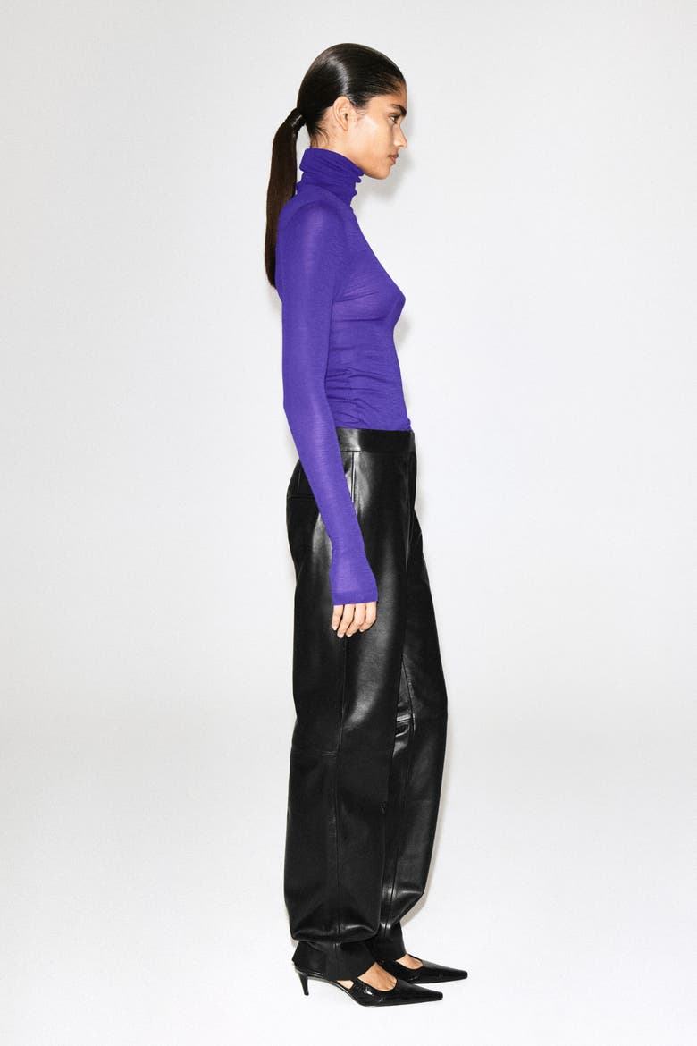 Merino Wool Turtleneck Top, Alternate, color, PURPLE