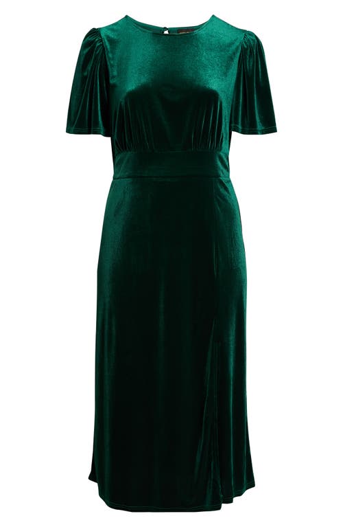 Sugarlips Night Bloom Velvet Maxi Dress In Green