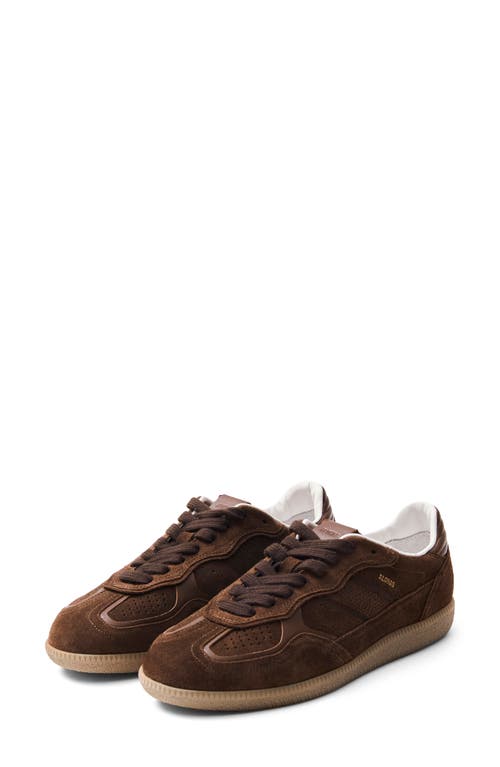 Shop Alohas Tb.490 Rife Sneaker In Brown