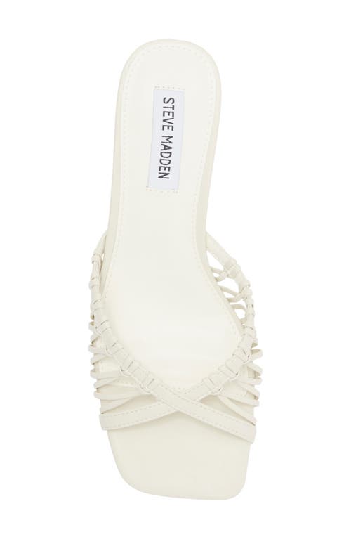 Steve Madden Sharey Kitten Heel Sandal In Bone