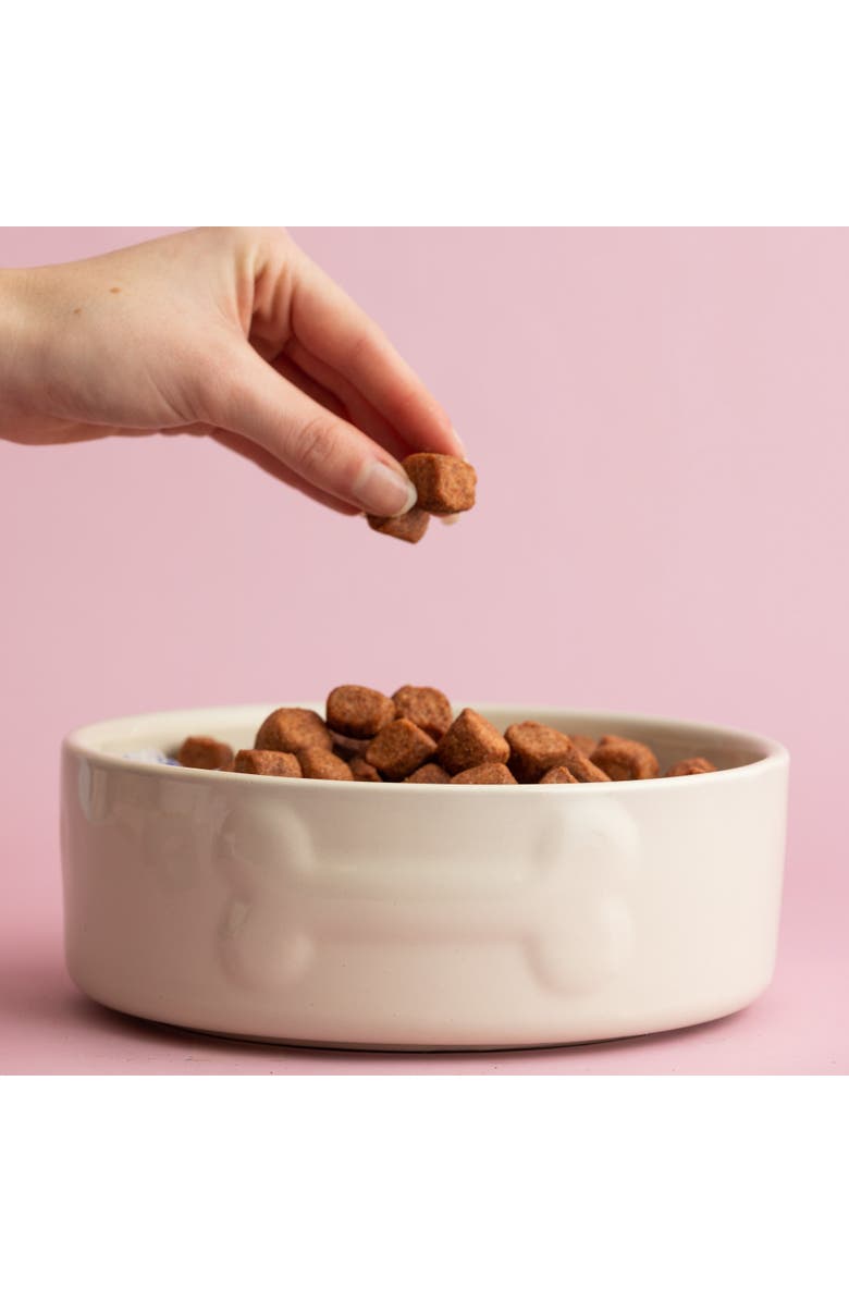 MASON CASH Embossed 8 Inch Bone Dog Food and Water Bowl, Alternate, color, Multicolored