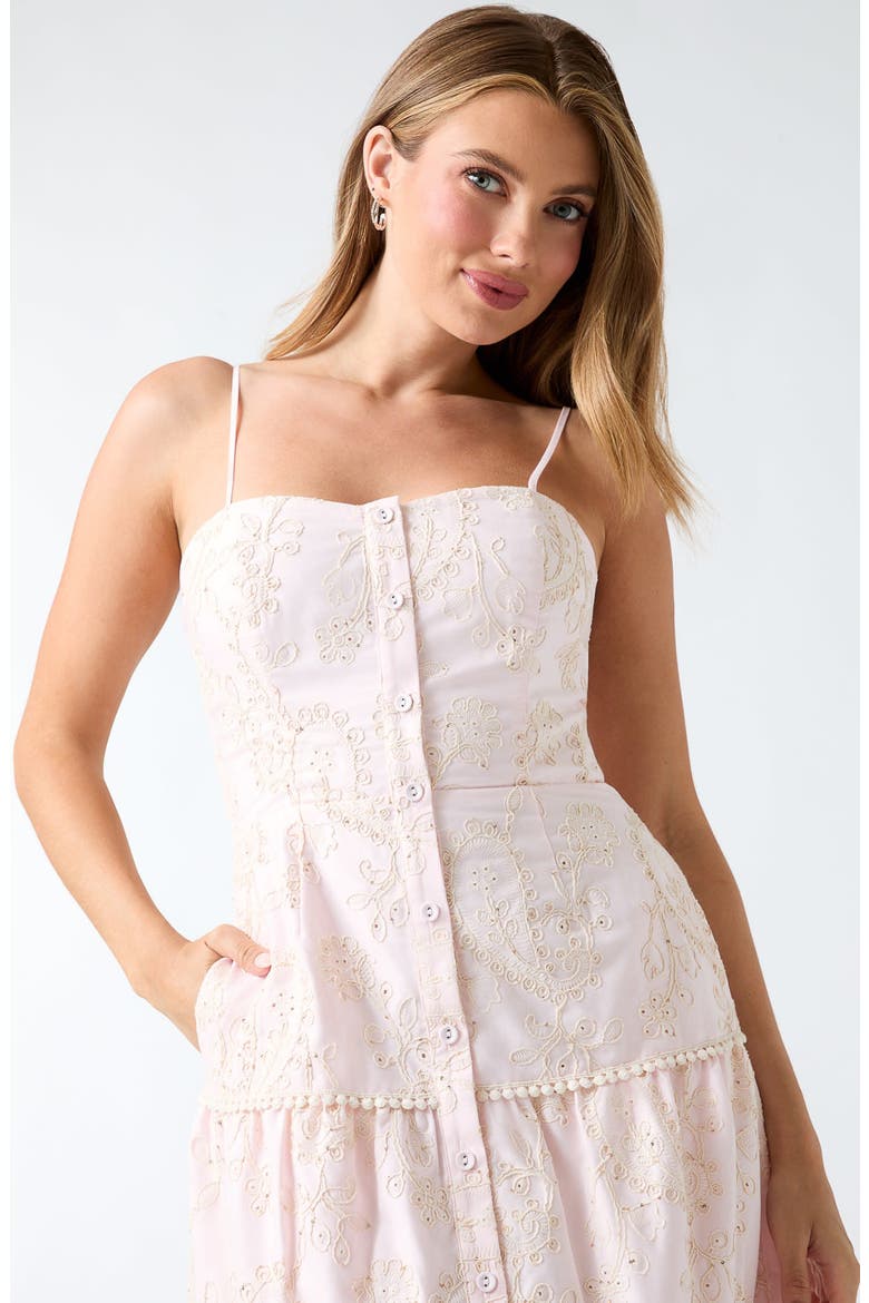 Evelyn Eyelet Embroidery Midi Dress, Alternate, color, PINK MULTI