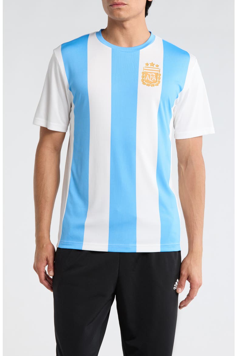 Argentina National Football Team Stripe T-Shirt, Main, color, BLUE