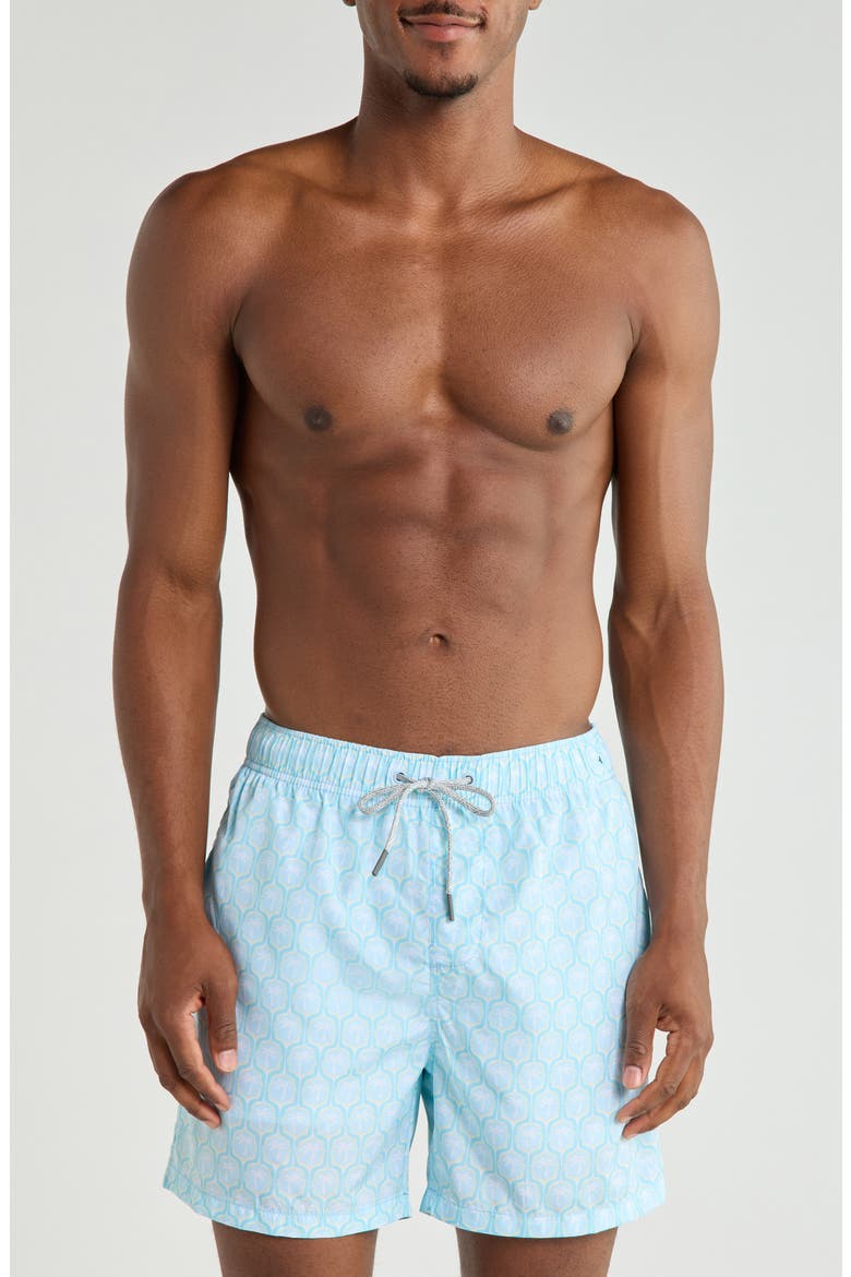 Ditzy Palm Volley Swim Trunks, Main, color, AQUA