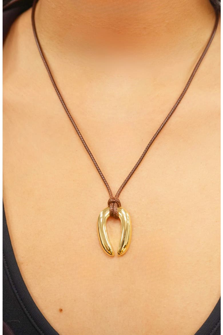Serena Upside Down Horseshoe Pendant Cord Necklace, Alternate, color, GOLD/ BROWN