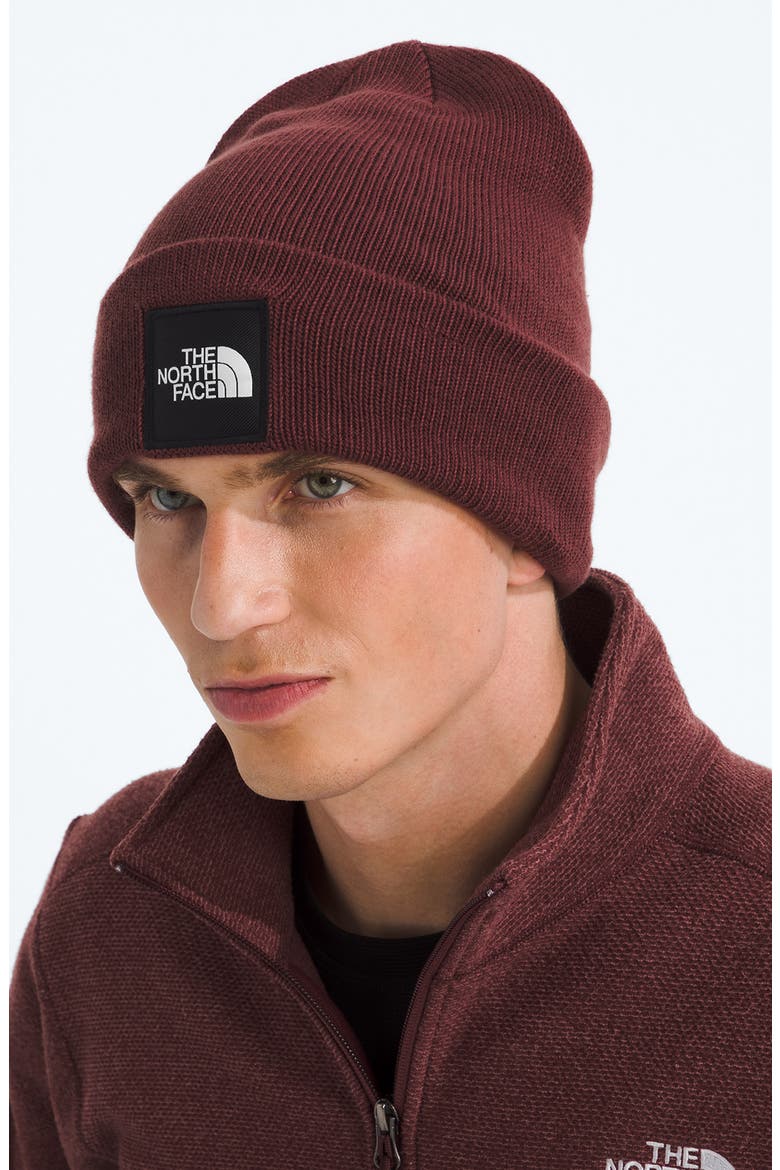 Big Box Logo Beanie, Alternate, color, SUMAC