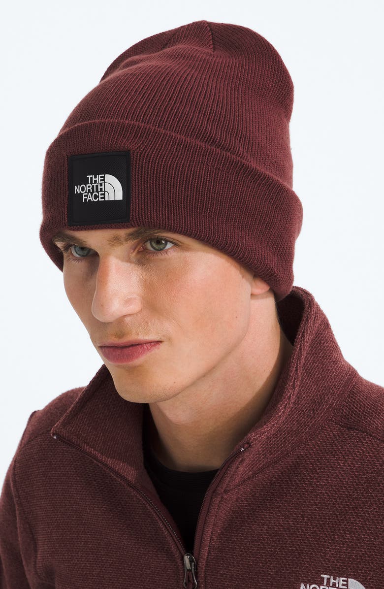 The North Face Big Box Logo Beanie, Alternate, color, Sumac