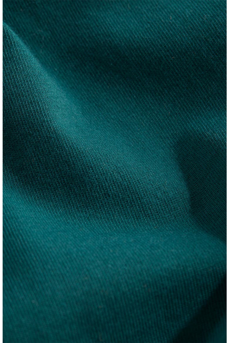 Santa Whale Long Sleeve Cotton Graphic T-Shirt, Alternate, color, CHARLESTON GREEN