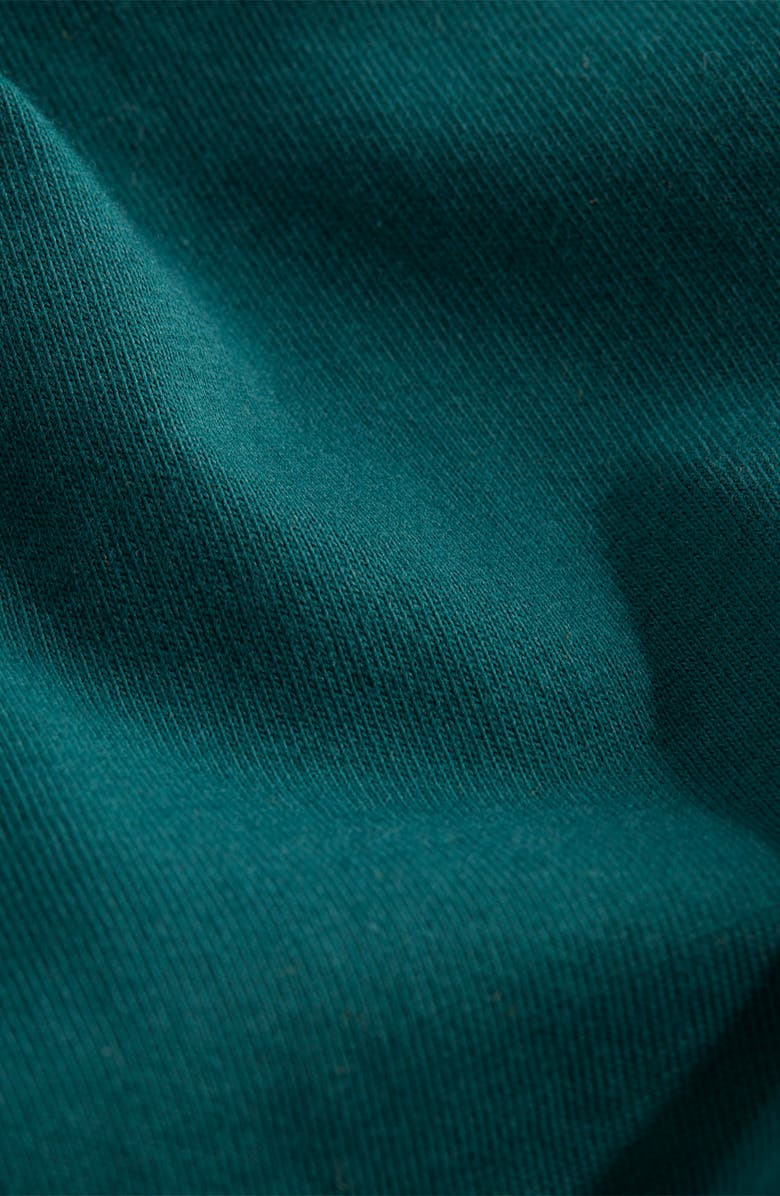 vineyard vines Santa Whale Long Sleeve Cotton Graphic T-Shirt, Alternate, color, 