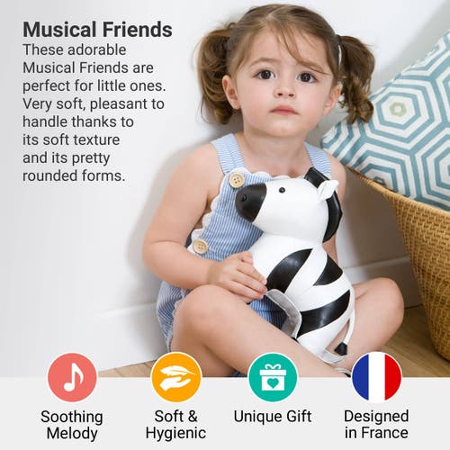 Little Big Friends Musical Animals In Multi