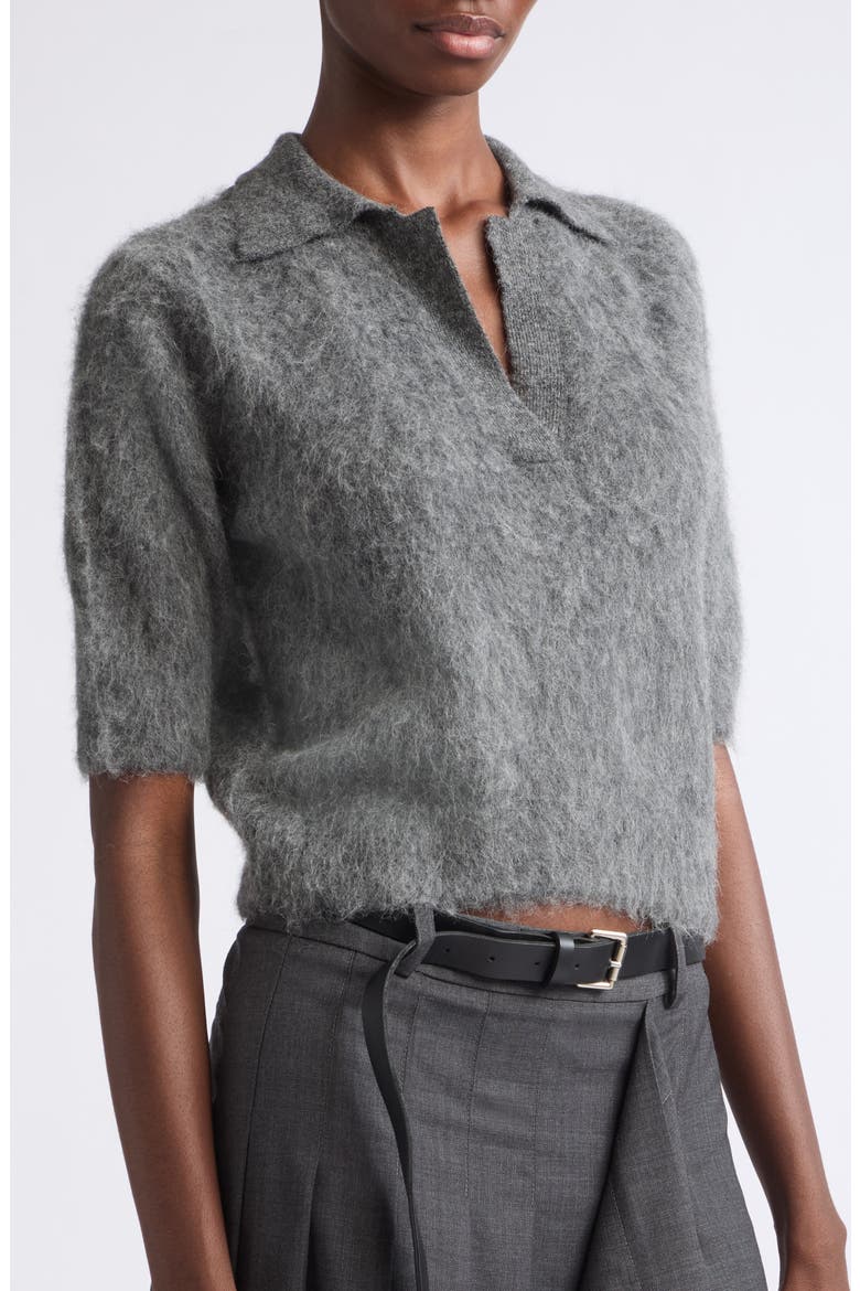 Scarf Detail Cropped Polo Sweater, Alternate, color, DARK CHARCOAL