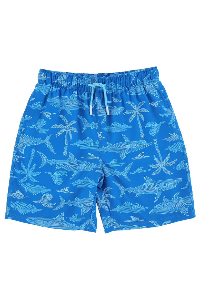 Kid's Island Classic Swim Trunks with Mesh Lining and UPF 50+, Main, color, Blue