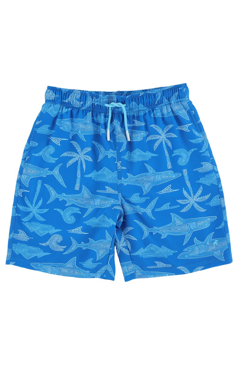 CARIBBEAN JOE Kid's Island Classic Swim Trunks with Mesh Lining and UPF 50+, Main, color, Blue