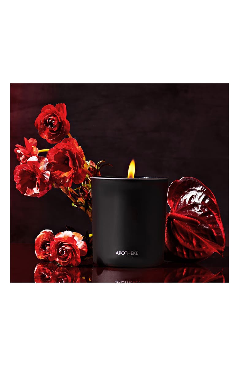 APOTHEKE Charcoal & Charcoal Rouge Scented Candle Duo, Alternate, color,