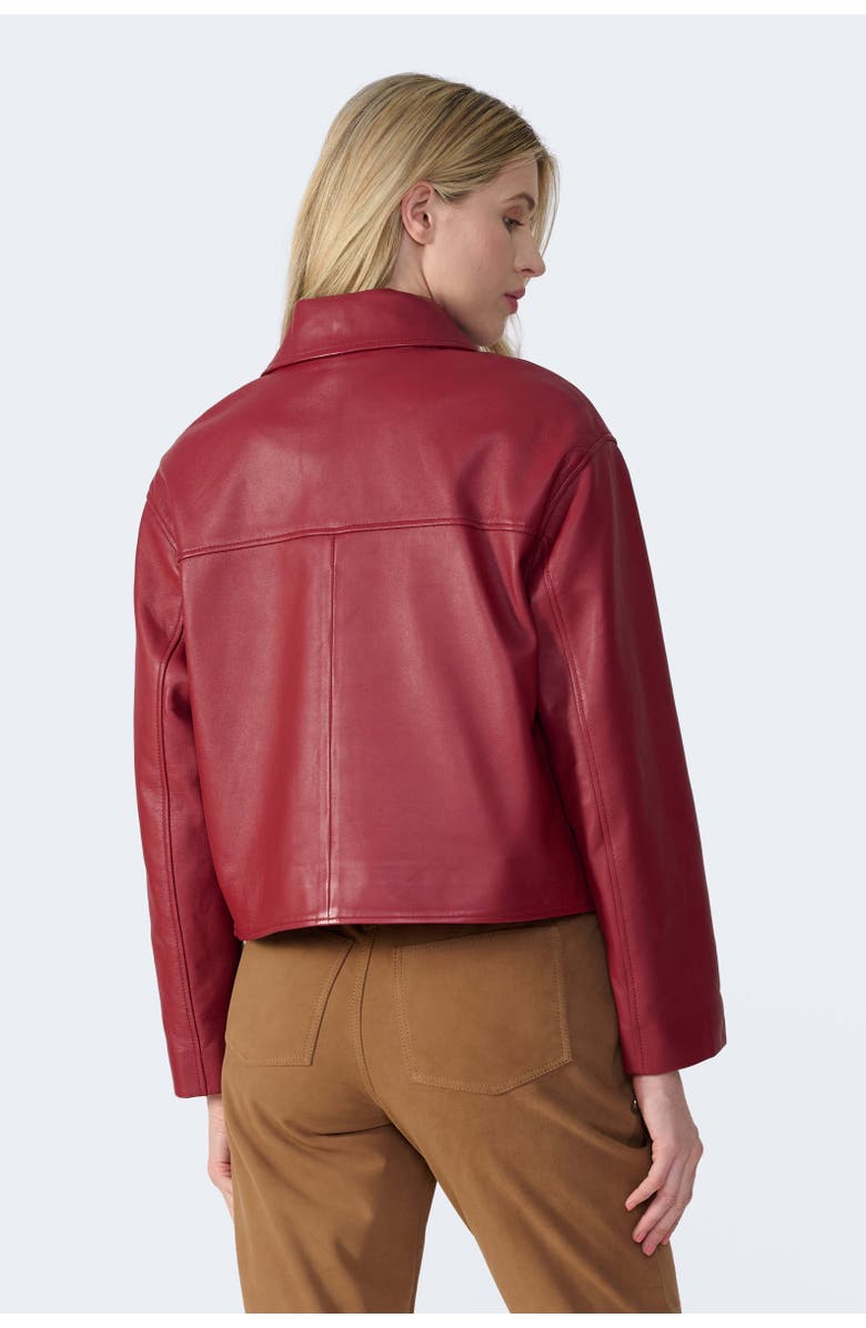 Furniq UK Ella Leather Jacket, Alternate, color, Light Burgundy