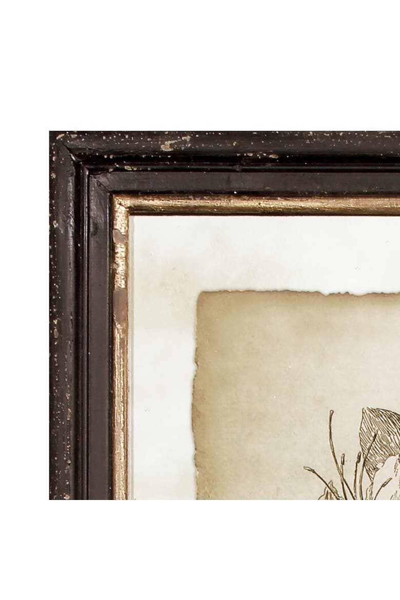 Framed Vintage Floral Prints Set of 6, Alternate, color, Black