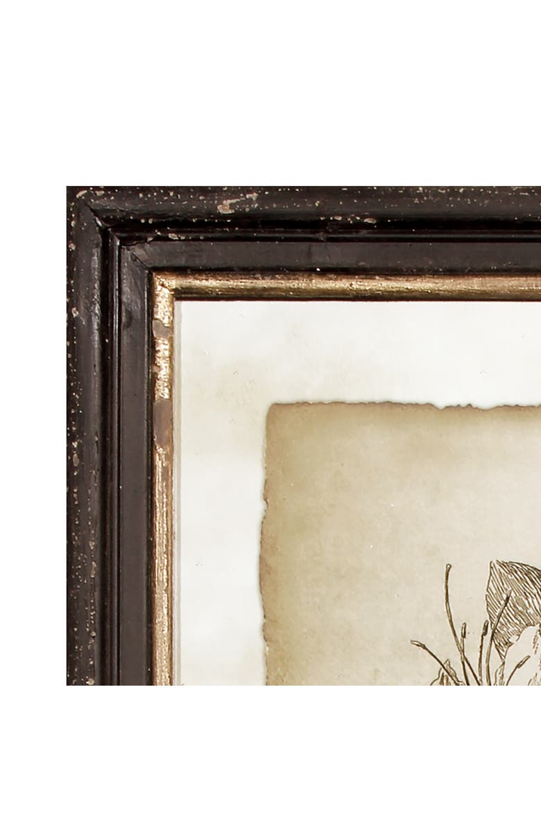 Napa Home & Garden Framed Vintage Floral Prints Set of 6, Alternate, color,