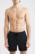 Nordstrom 5-Inch Volley Swim Shorts