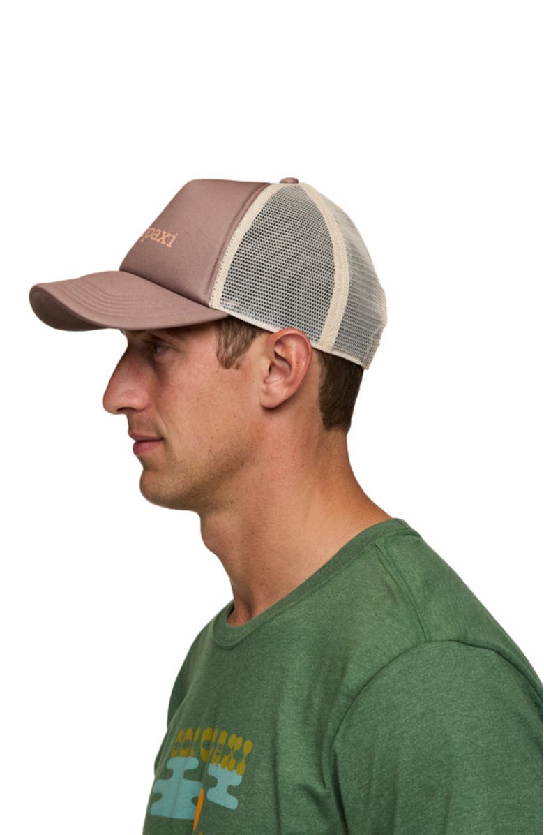 Cotopaxi Vintage Trucker Hat, Alternate, color, Reishi