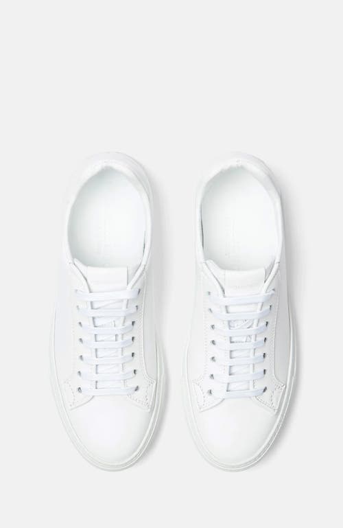 Scarosso Cecilia Sneakers
