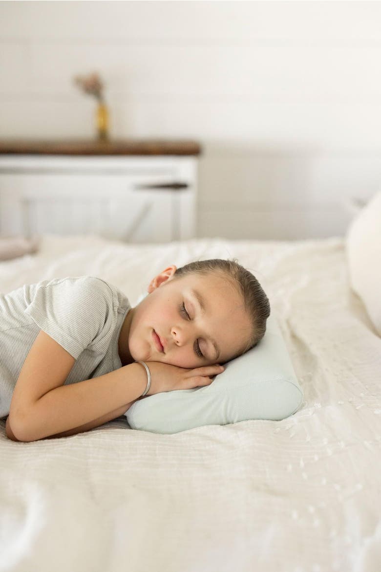 Ergonomic Memory Foam Pillow with Fitted Pillowcase, Alternate, color, Ice Blue