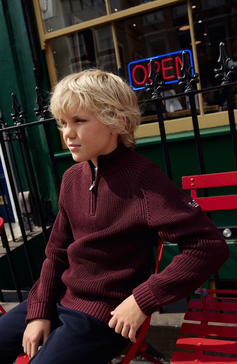 NEXT Kids' Half Zip Sweater, Alternate, color, Purple