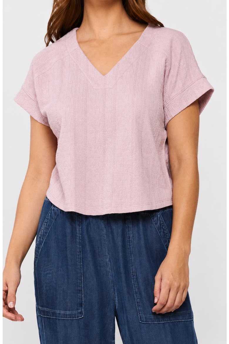Larena V-Neck Top, Main, color, BLUSH
