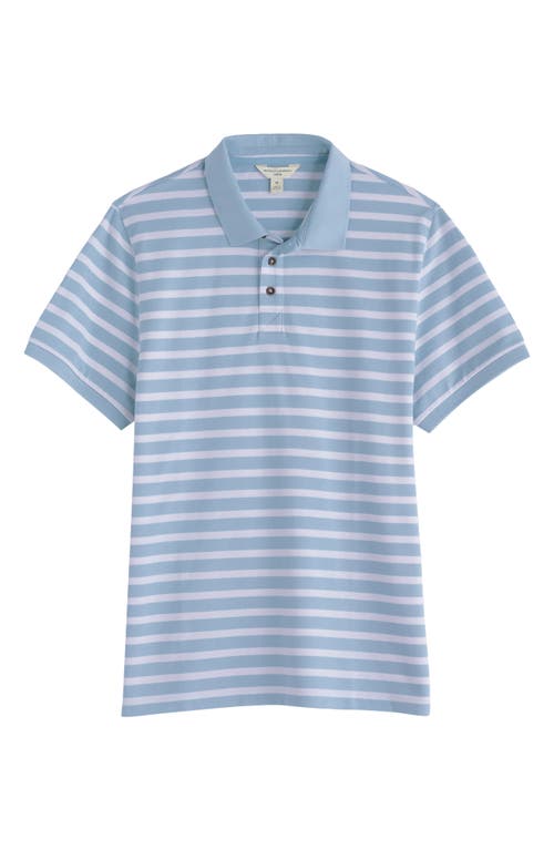 Seasalt Cornwall Balefire Stripe Polo In Blue