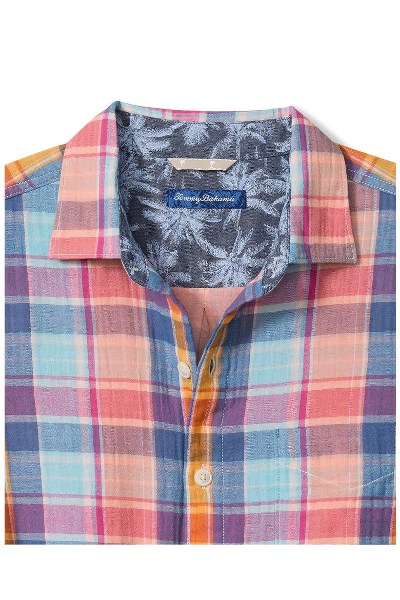 Palma Roja Plaid Brushed Cotton Button-Up Shirt, Alternate, color, TURQUOISE HAZE