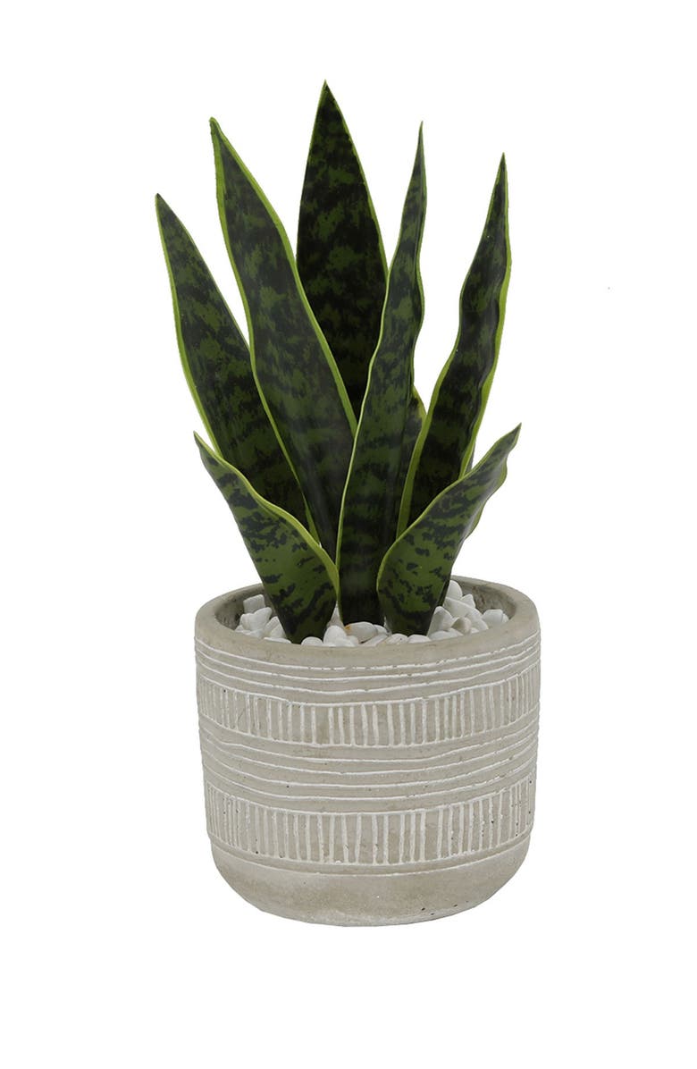 FLORA BUNDA 12"H Snake plant in 4.75" Pueblo Cement Pot, Main, color,