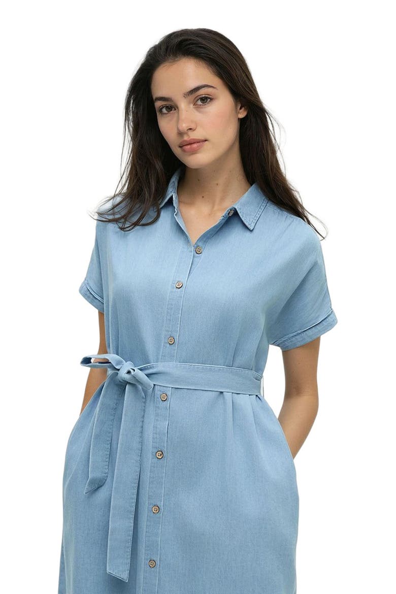 Tern Dress, Alternate, color, Light Wash