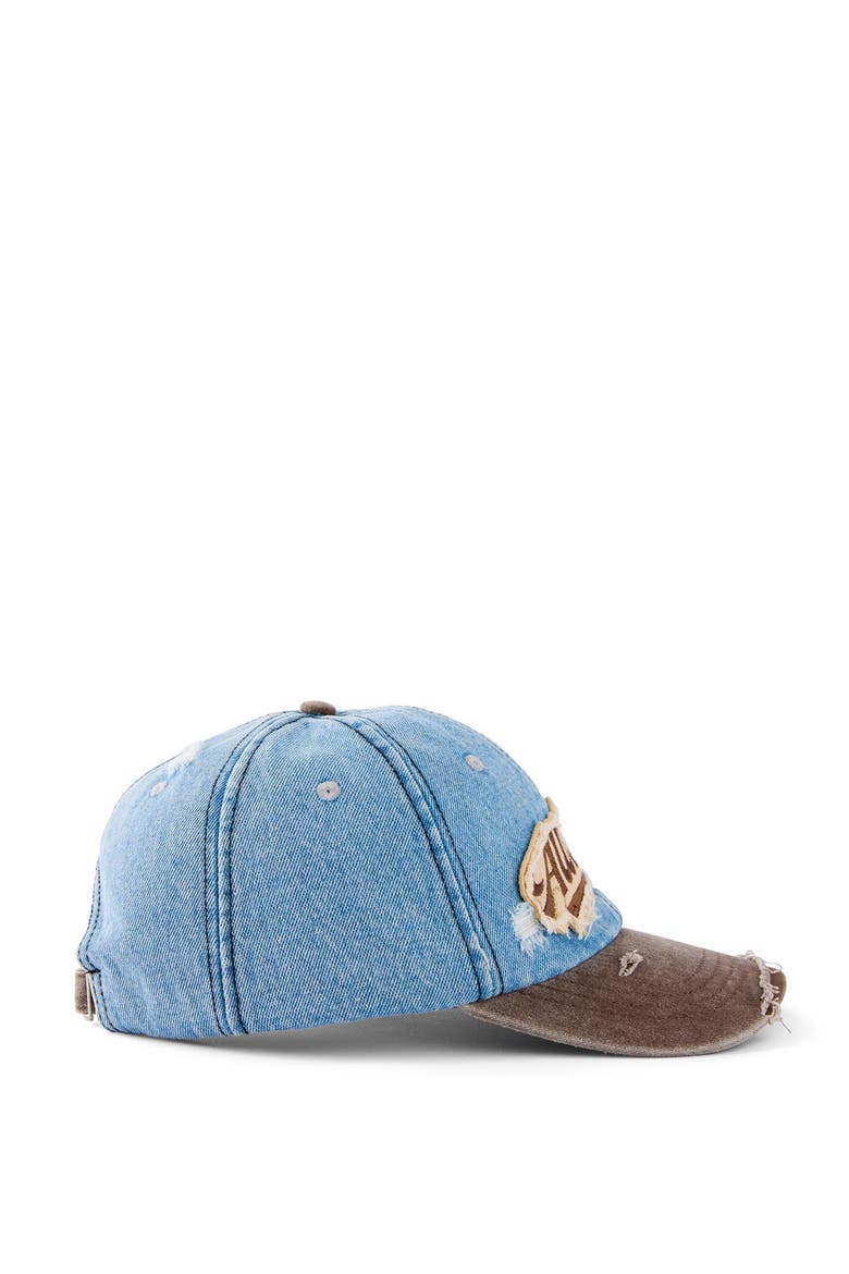 Men's Vintage Dad Hat, Alternate, color, Washed Denim Brown All State