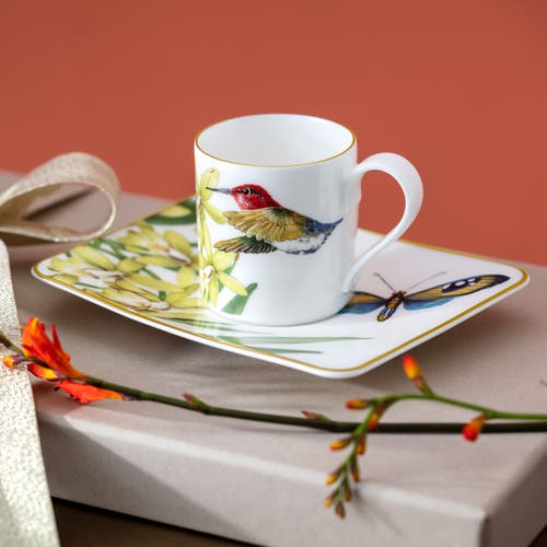 Villeroy & Boch Amazonia Teacup Saucer In White