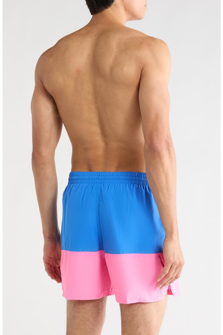 Colorblock Drawstring Volley Shorts, Alternate, color, BLUE CRYSTAL